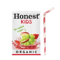 Honest Kids Fruit Punch